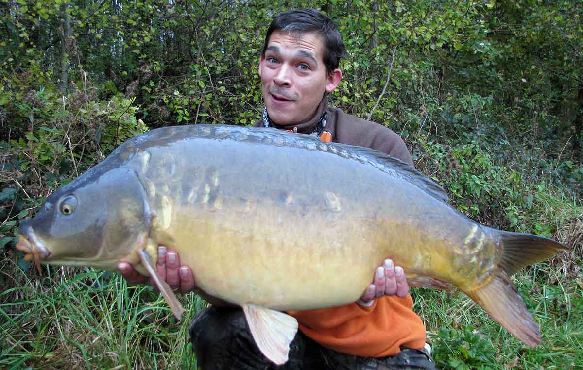 Schöner Fisch Karpfen mit Funkbissanzeiger